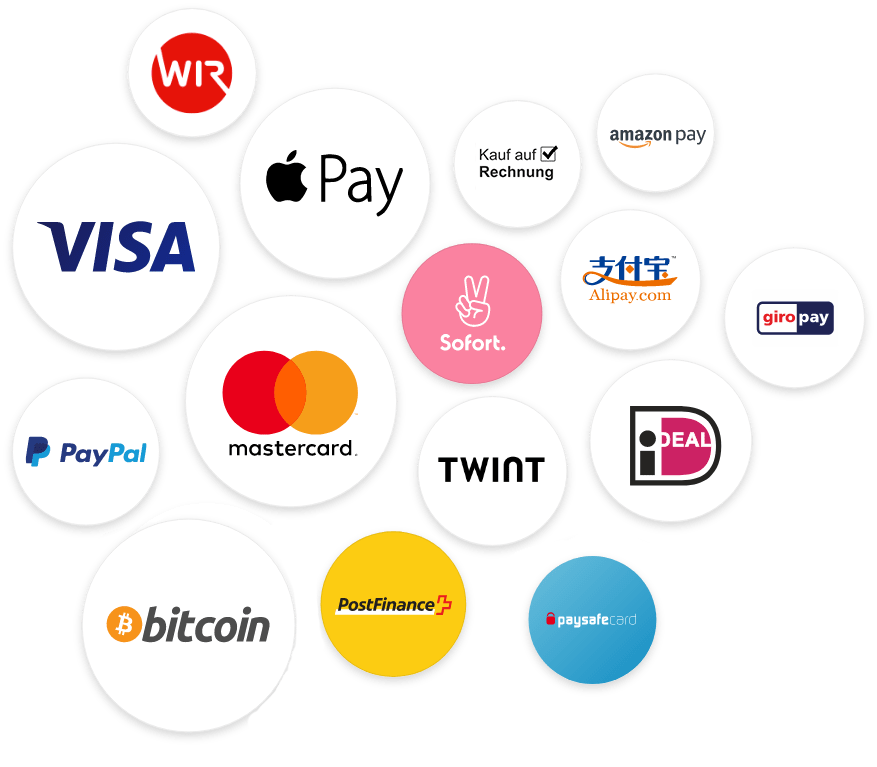 Onlineshop erstellen lassen Zahlungsmethoden - Twint - Kreditkarte - Krypto
