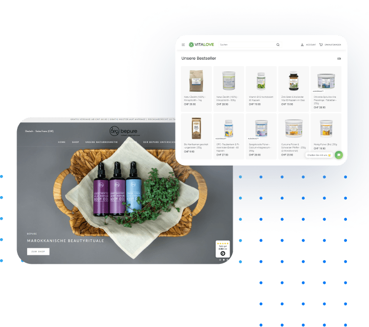 online shop erstellen-lassen-